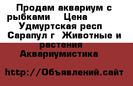 Продам аквариум с рыбками. › Цена ­ 3 500 - Удмуртская респ., Сарапул г. Животные и растения » Аквариумистика   